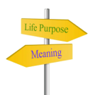 purpose_meaning